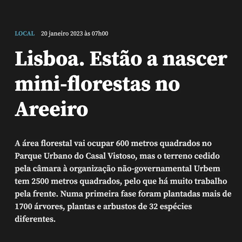 Lisboa. Estão a nascer mini-florestas no Areeiro - DN.pt