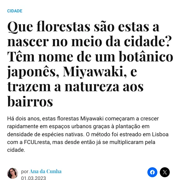 Que florestas são estas a nascer no meio da cidade? Têm nome de um botânico japonês, Miyawaki, e trazem a natureza aos bairros - amensagem.pt