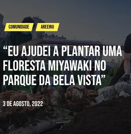 Eu ajudei a plantar uma floresta Miyawaki no Parque da Bela Vista - Arteria (Publico.pt)