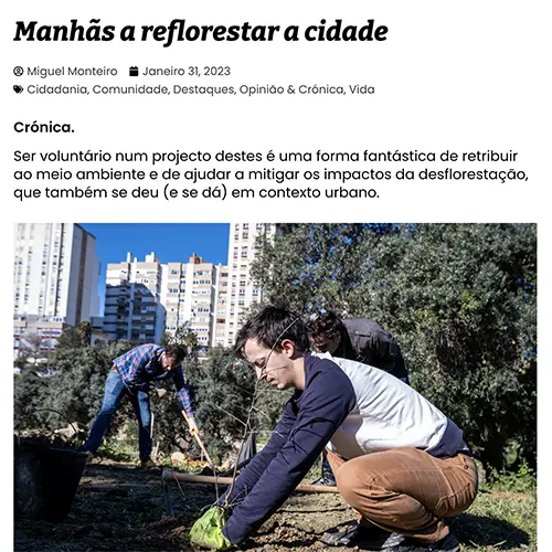 Manhãs a reflorestar a cidade -
