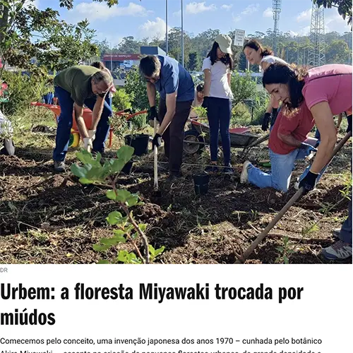 Urbem: a floresta Miyawaki trocada por miúdos -