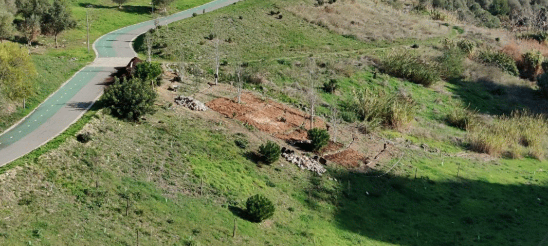 Timelapse of Plot 1 transformation