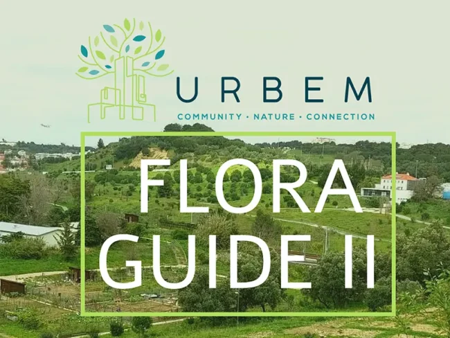 Flora Guide 2 cover