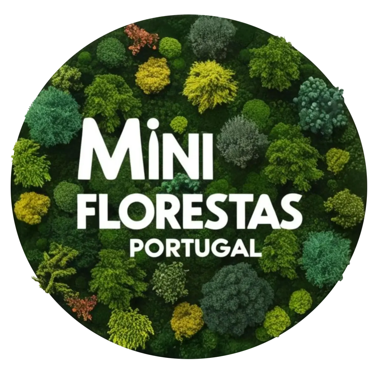Portugal Mini-forests Network