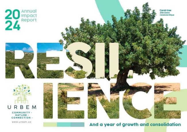 Urbem Forests 2024 annual impact report cover