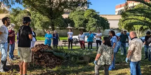 therapeutic mini forest lisbon hospital
