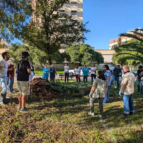 therapeutic mini forest lisbon hospital