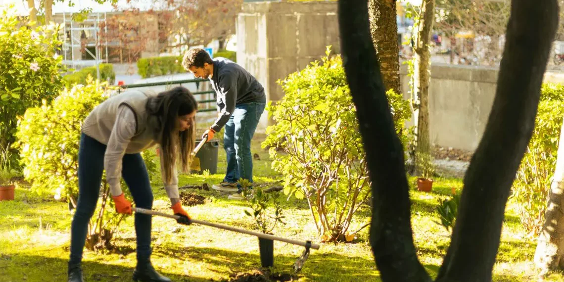 Técnico plants mini-forest to “bring the forest back to the city”
