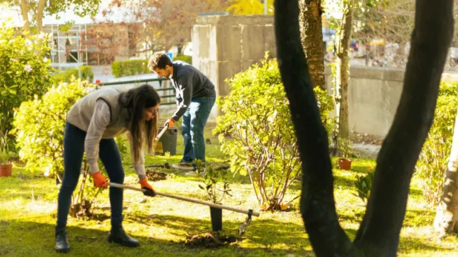Técnico plants mini-forest to “bring the forest back to the city”