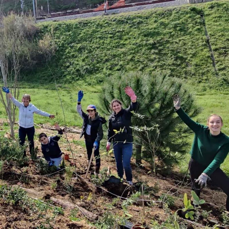 Urbem Forest Guardians video cover