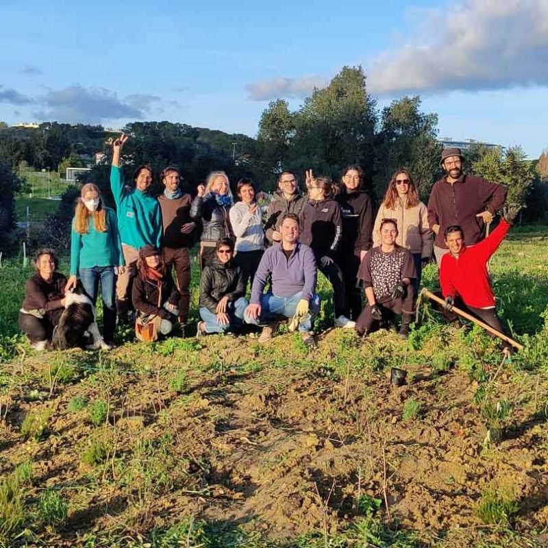 Urbem Forest Guardians video cover