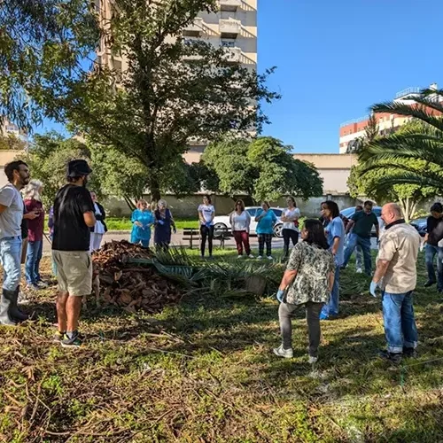 therapeutic mini forest lisbon hospital